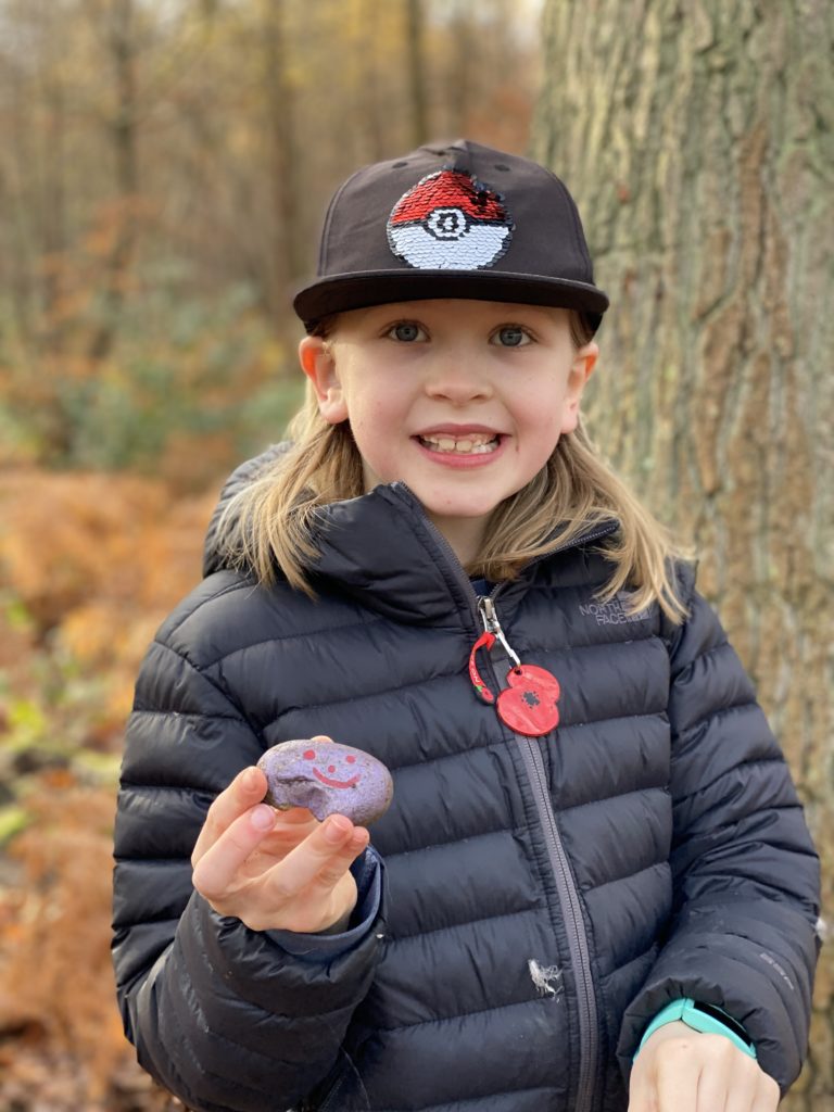 looking for painted rocks Oxhey Woods Sculpture Trail