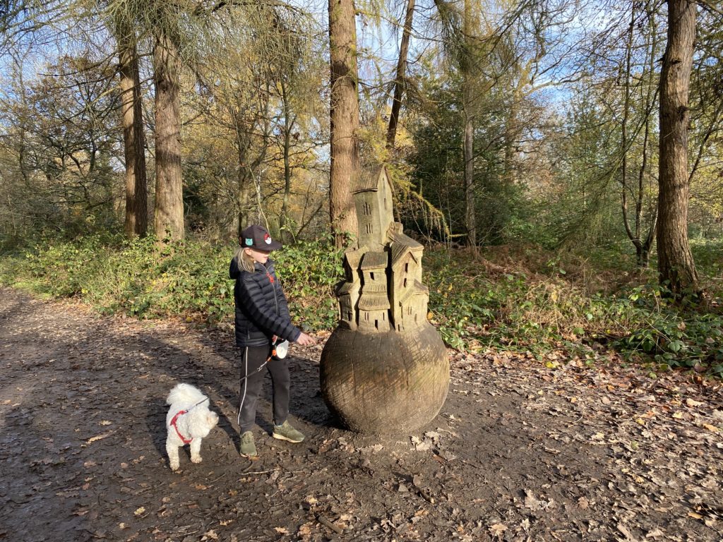 looking for painted rocks Oxhey Woods Sculpture Trail