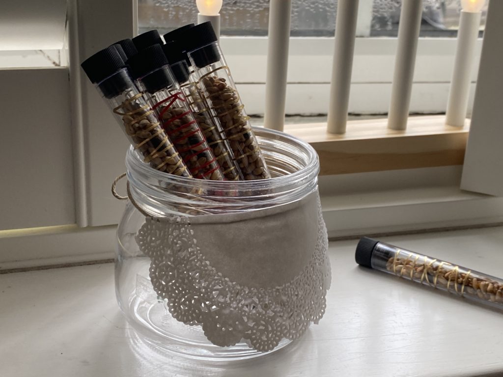 Easy magic reindeer food tubes