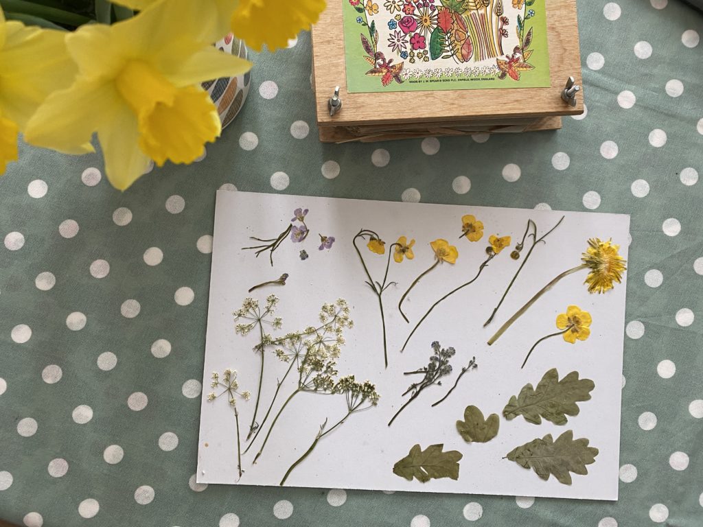 Pressed Spring flowers suncatcher