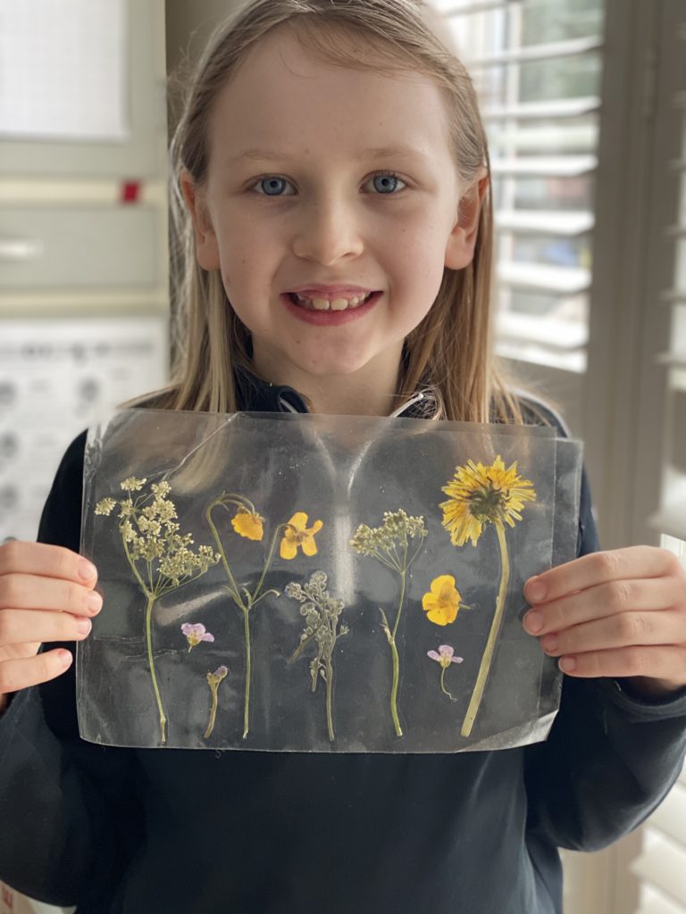 Pressed Spring flowers suncatcher