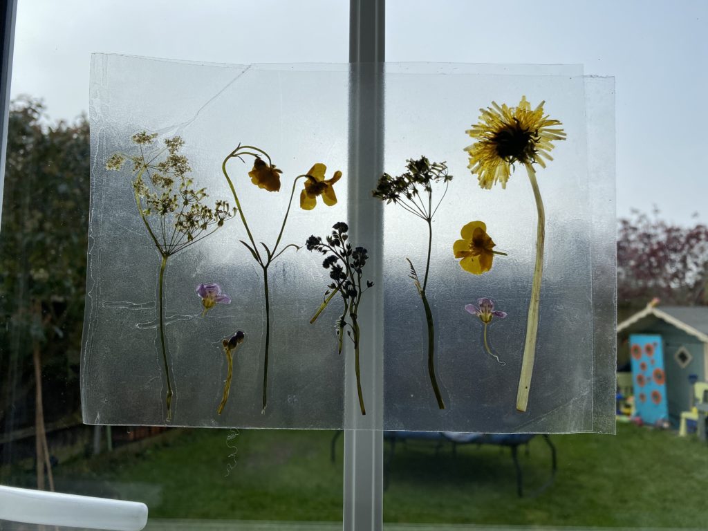 Pressed Spring flowers suncatcher