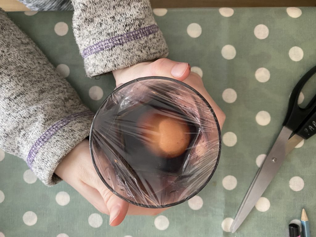 Egg in vinegar experiment equipment