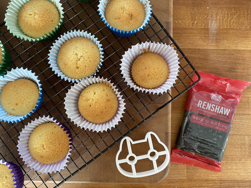 World Book Day cupcakes inspired by Varjak Paw