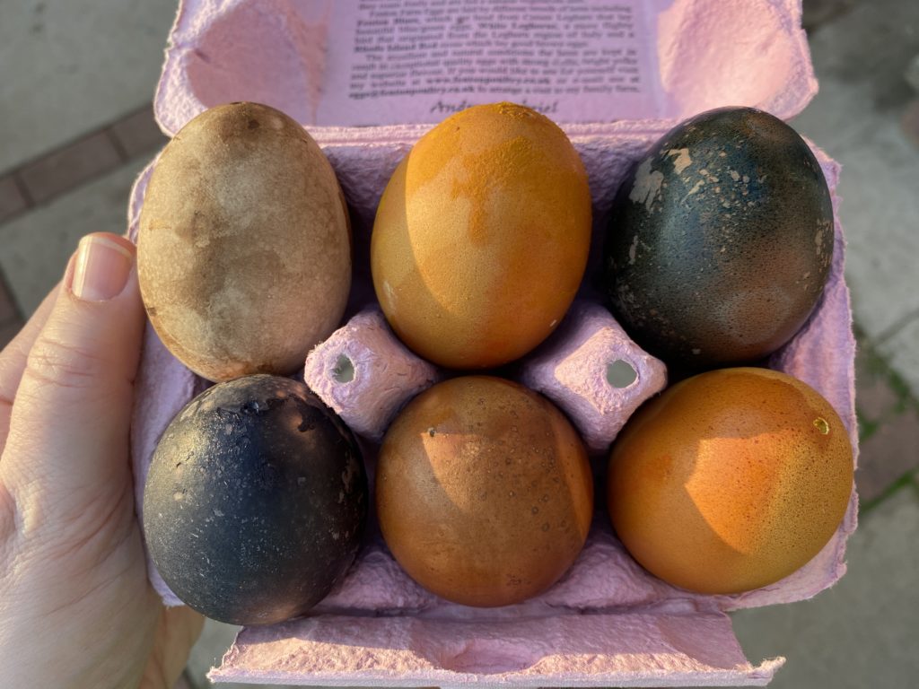 using natural dyes to dye eggs