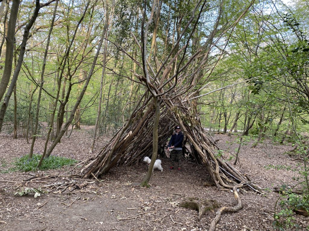 den building in Park woods