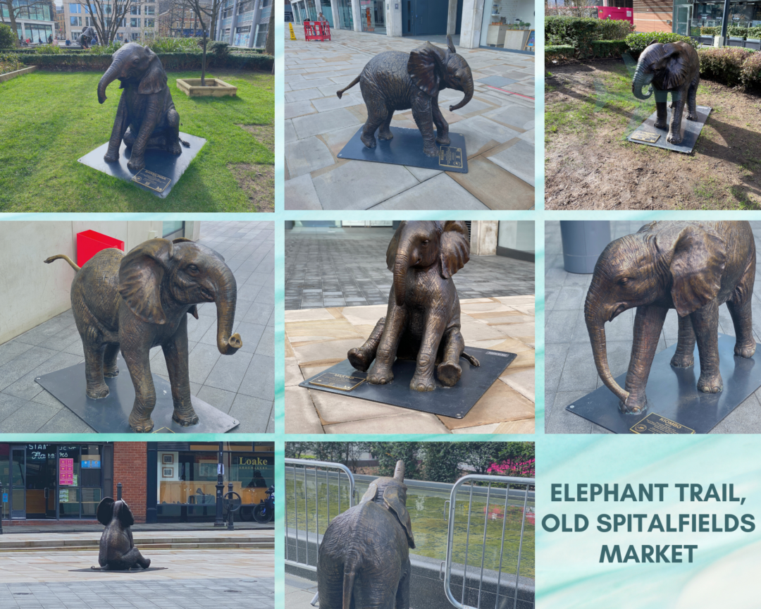 Elephant trail at Spitalfields Market London thegingerbreadhouse.co.uk