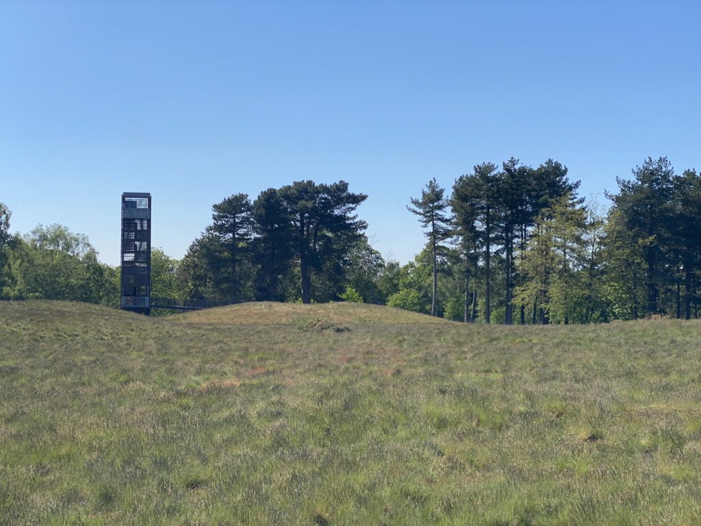 Royal Burial Ground at Sutton Hoo