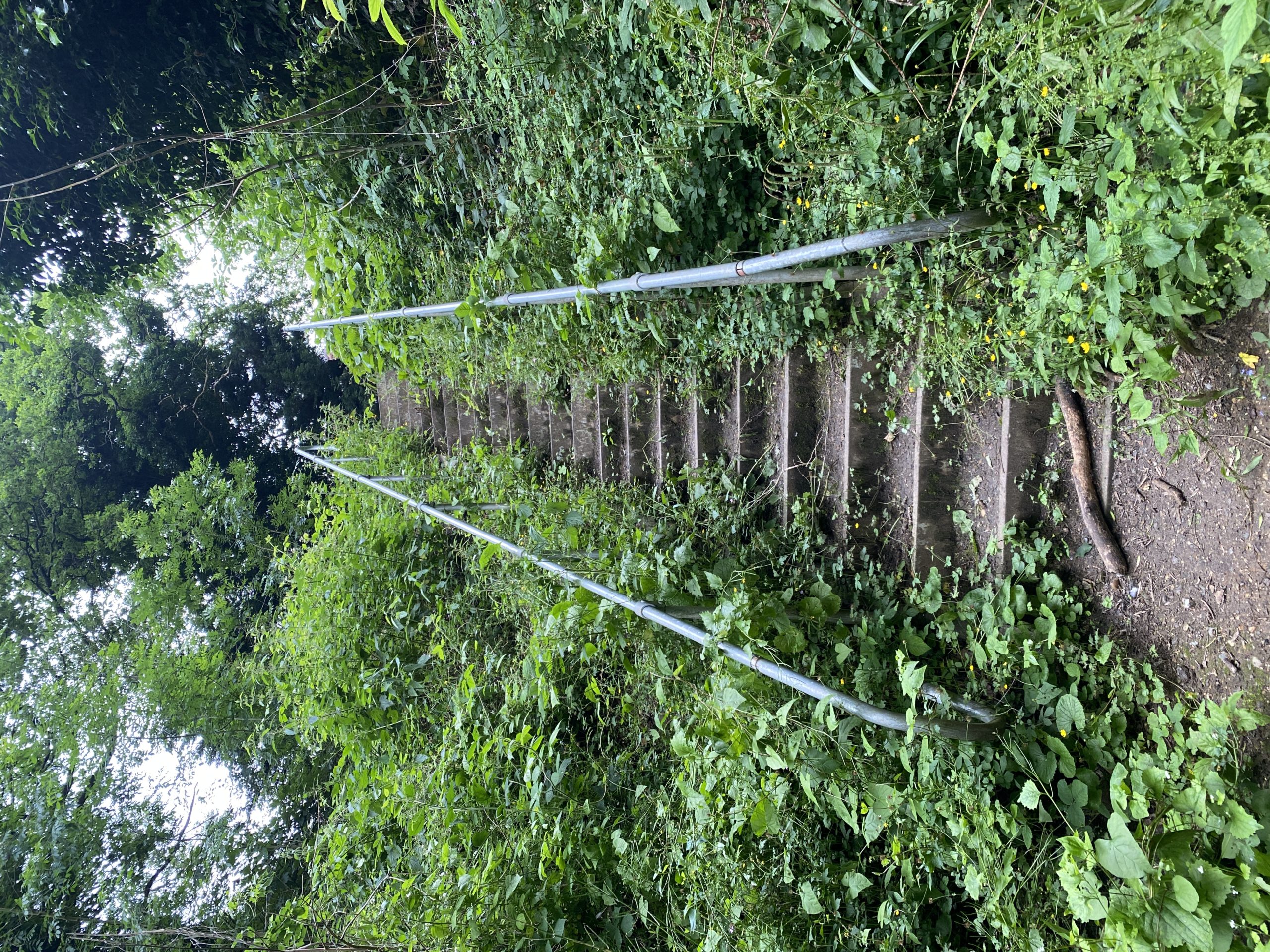 Exploring The Gravel Pits, Northwood
