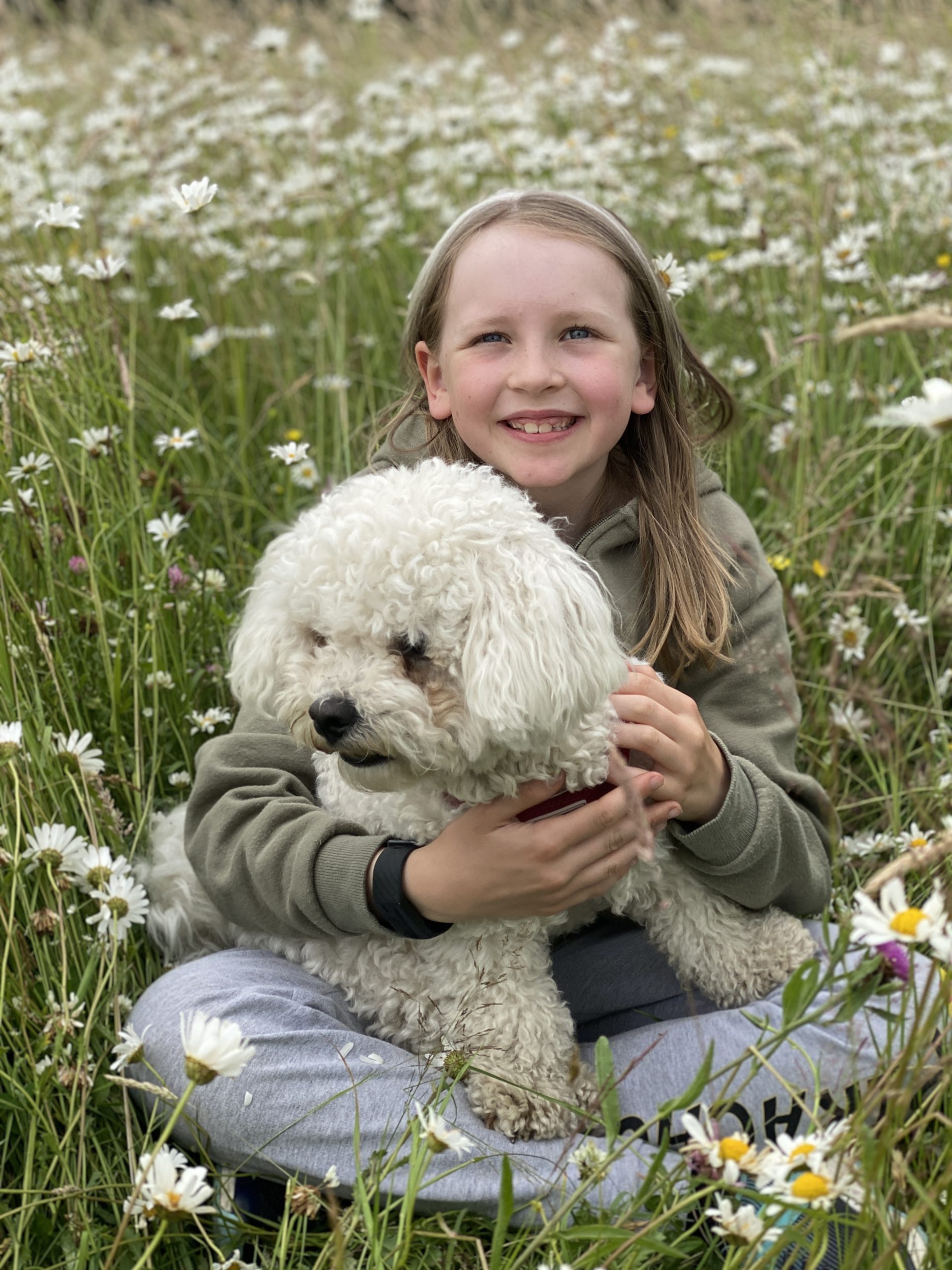 wild flower field ickenham