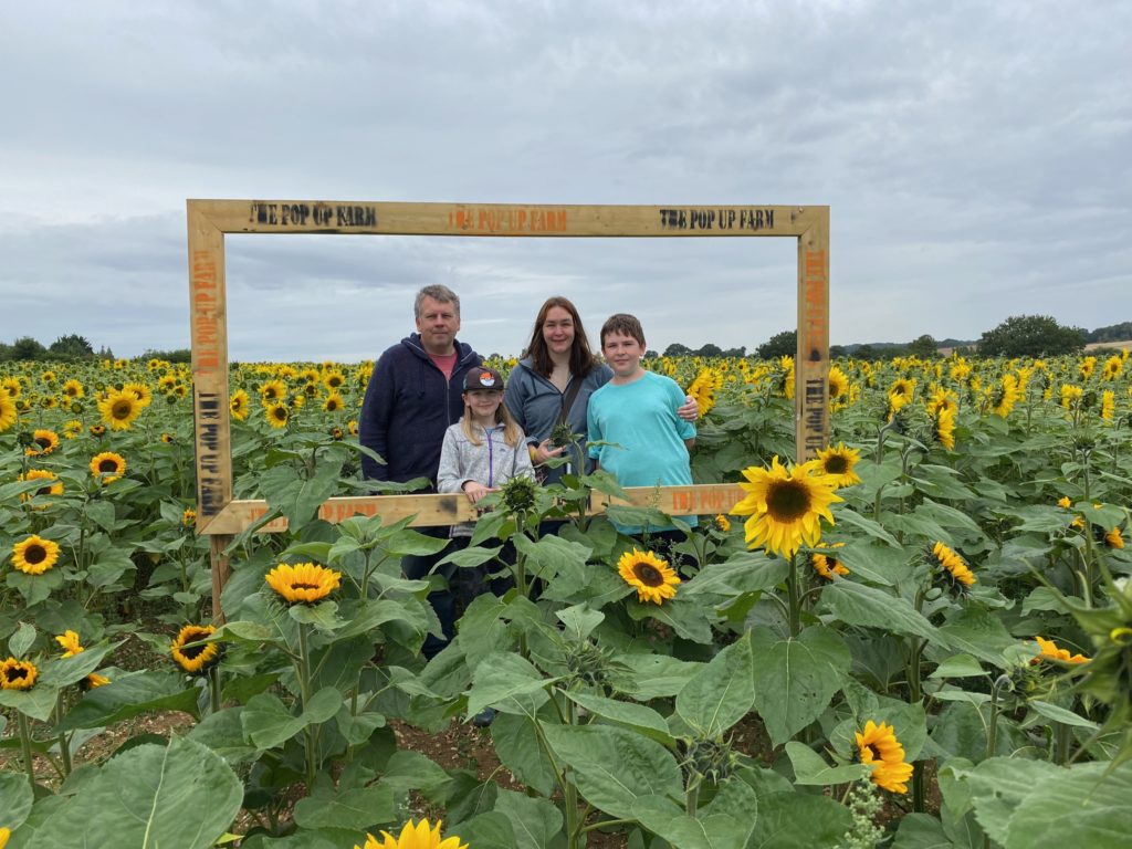 The prettiest sunflower field near London thegingerbreadhouse.co.uk