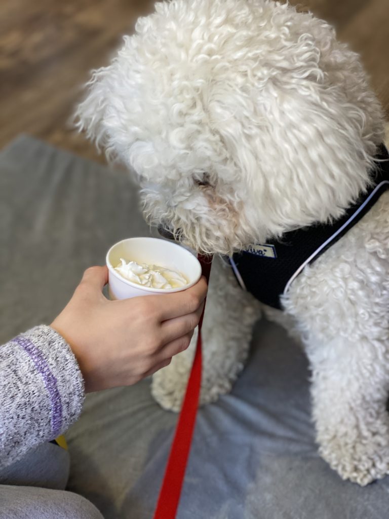 pupachino at Snacks and Ladders Board Game Cafe