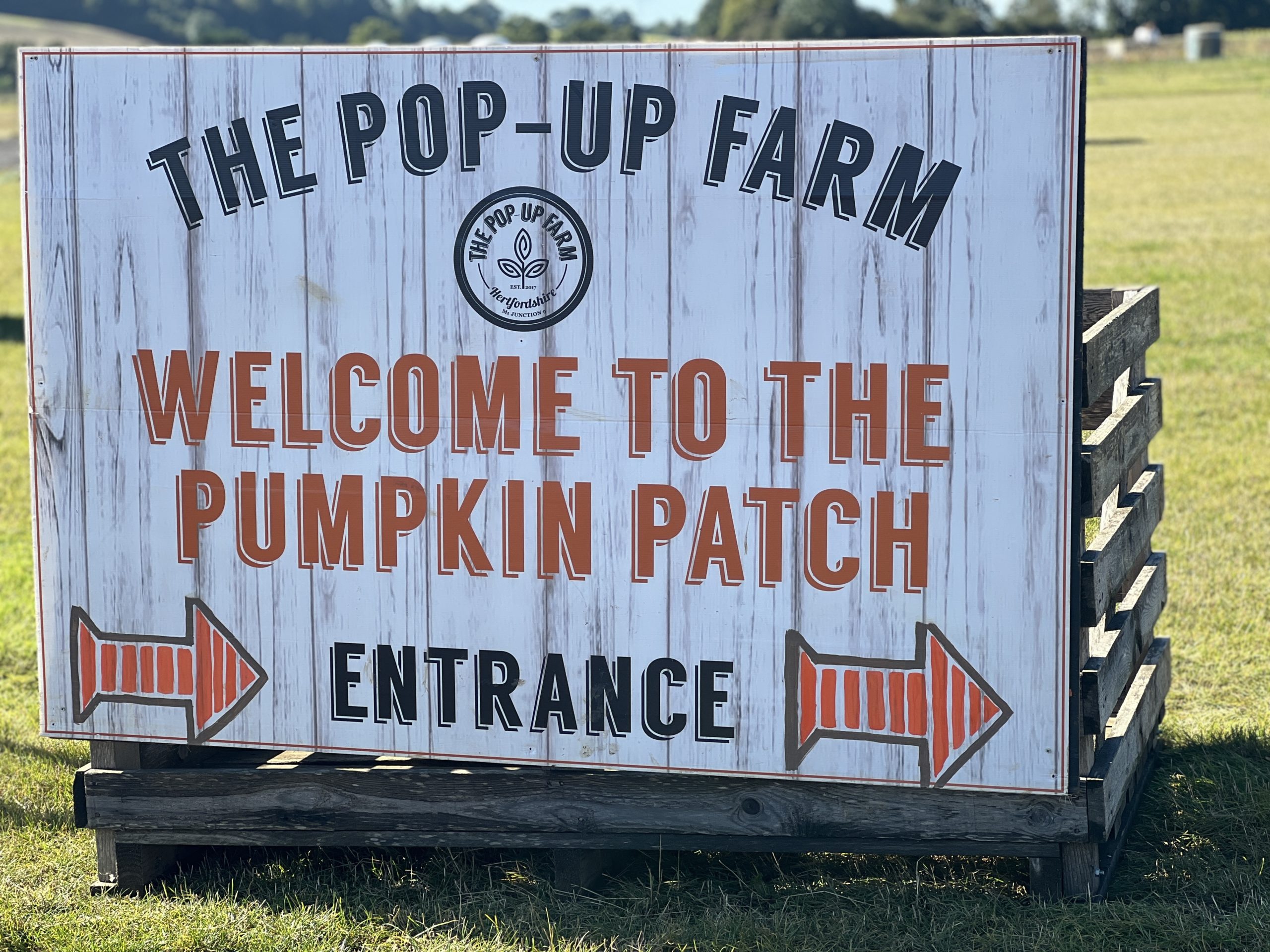 Picking pumpkins at the Pop Up Farm