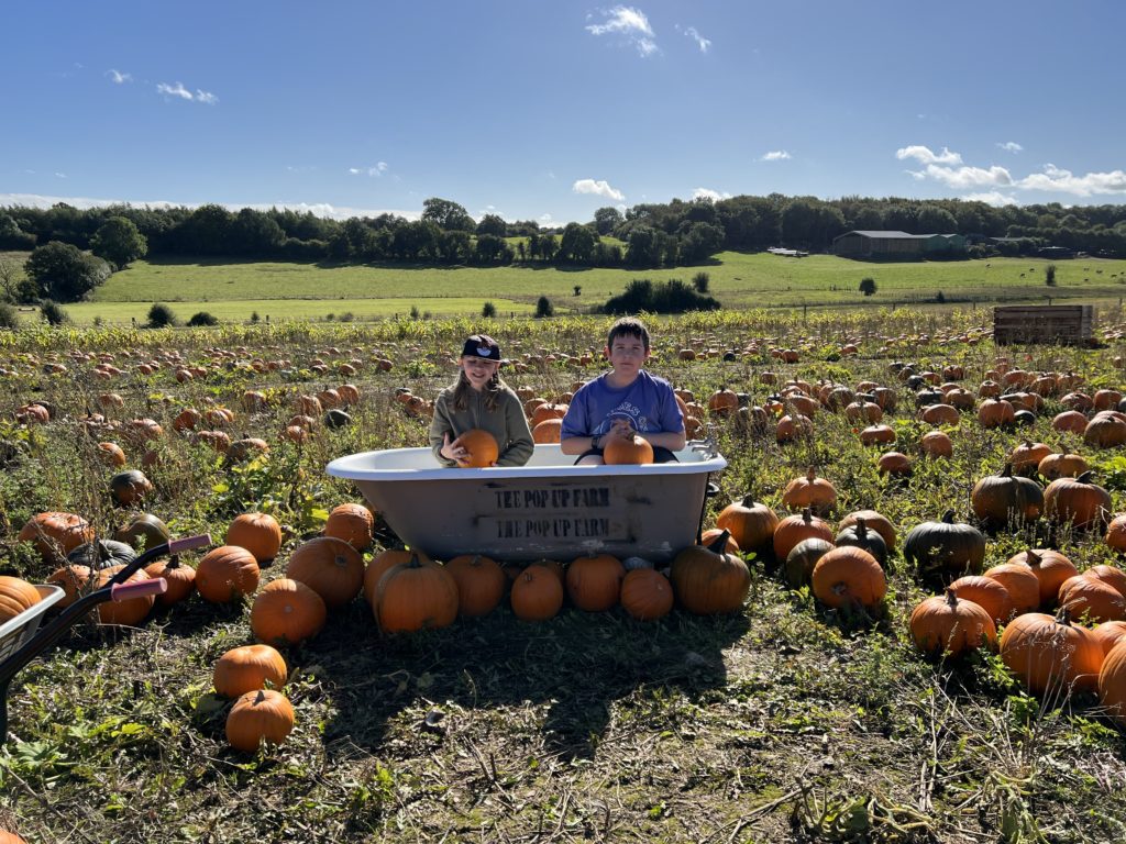 photo props at the pumpkin farm