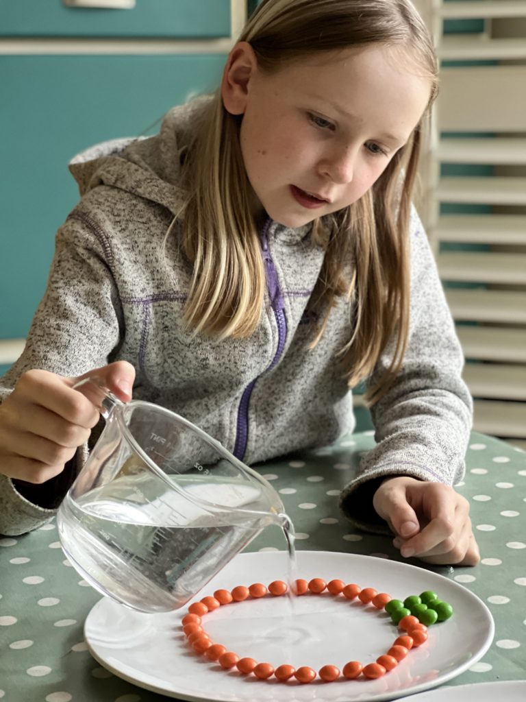 Halloween Pumpkin skittles experiment for kids