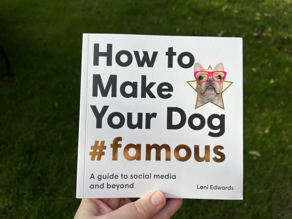 How To Make Your Dog #famous