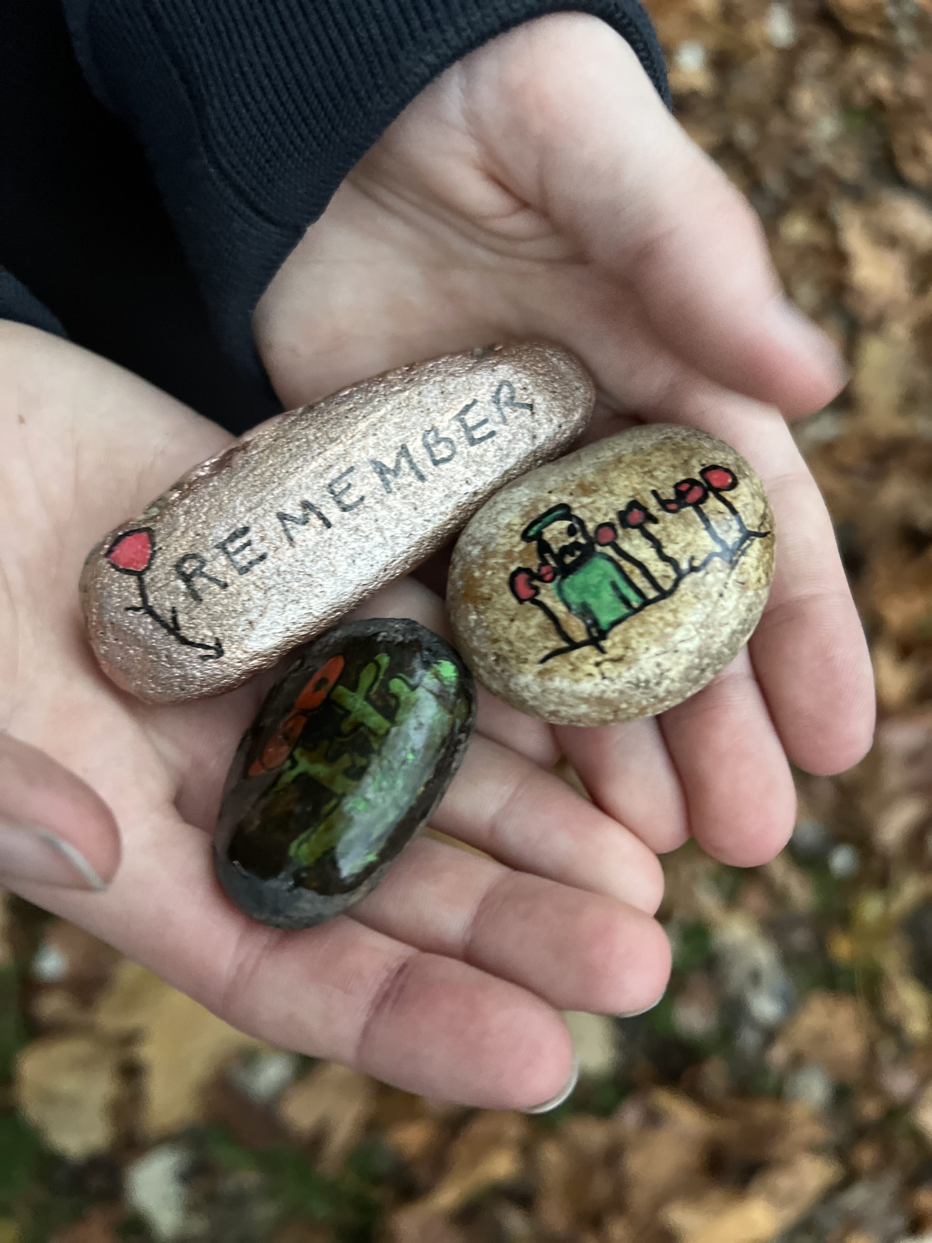 Remembrance Day painted stones