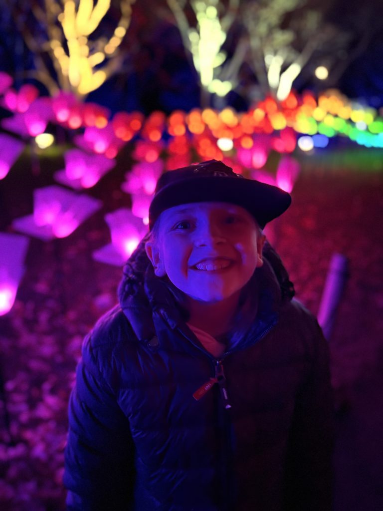 Christmas at Kew lights