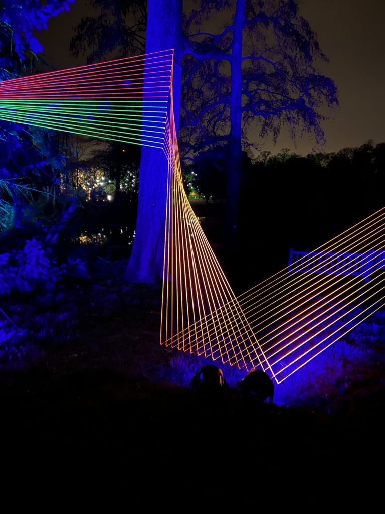 installation at Christmas at Kew lights