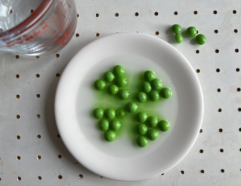 St Patrick’s Day skittle experiment