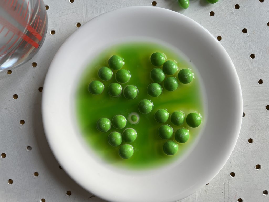 St Patrick’s Day skittle experiment