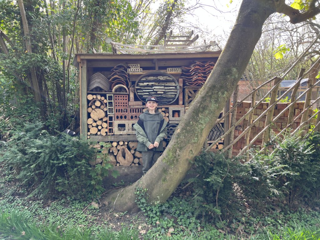 bug hotel