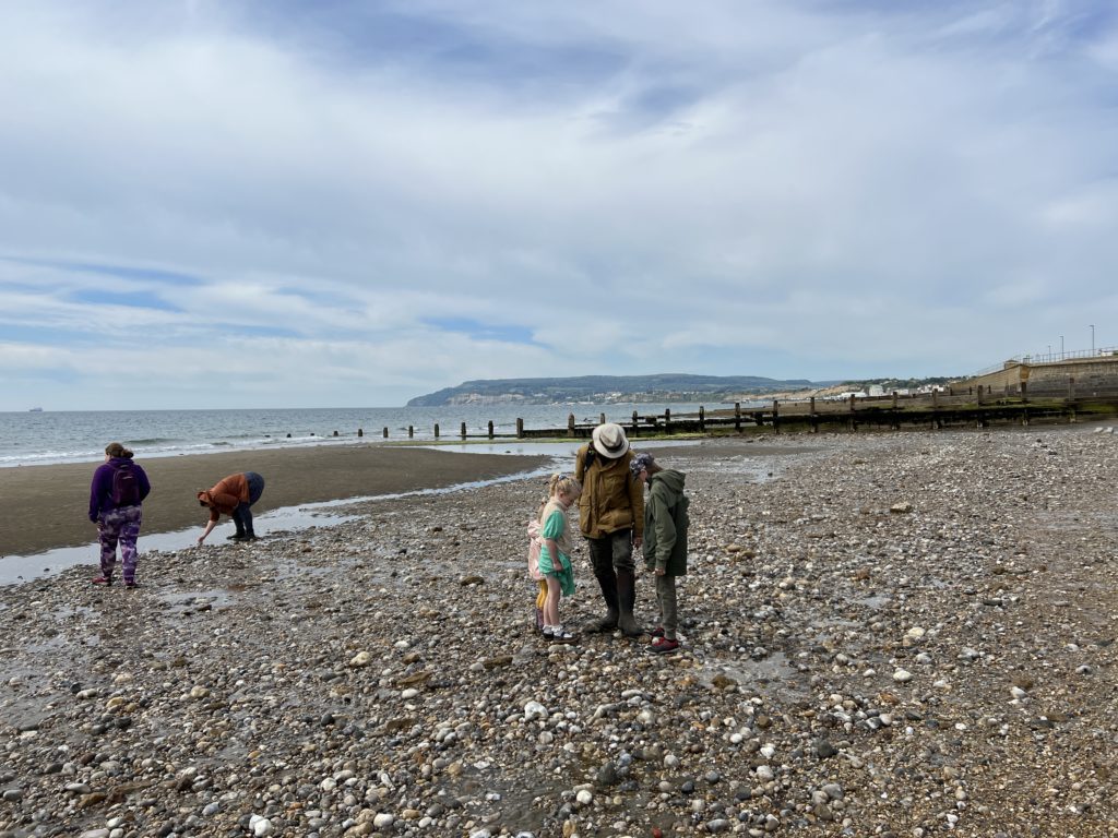 Dinosaur walks on the Isle of Wight