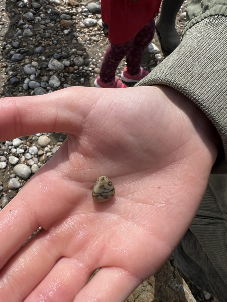 Dinosaur walks on the Isle of Wight