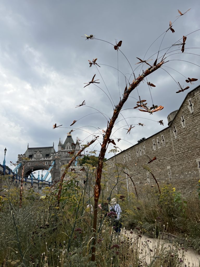 Superbloom London