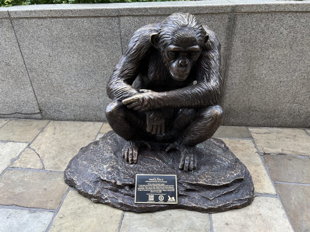 Chimps Are Family sculpture trail