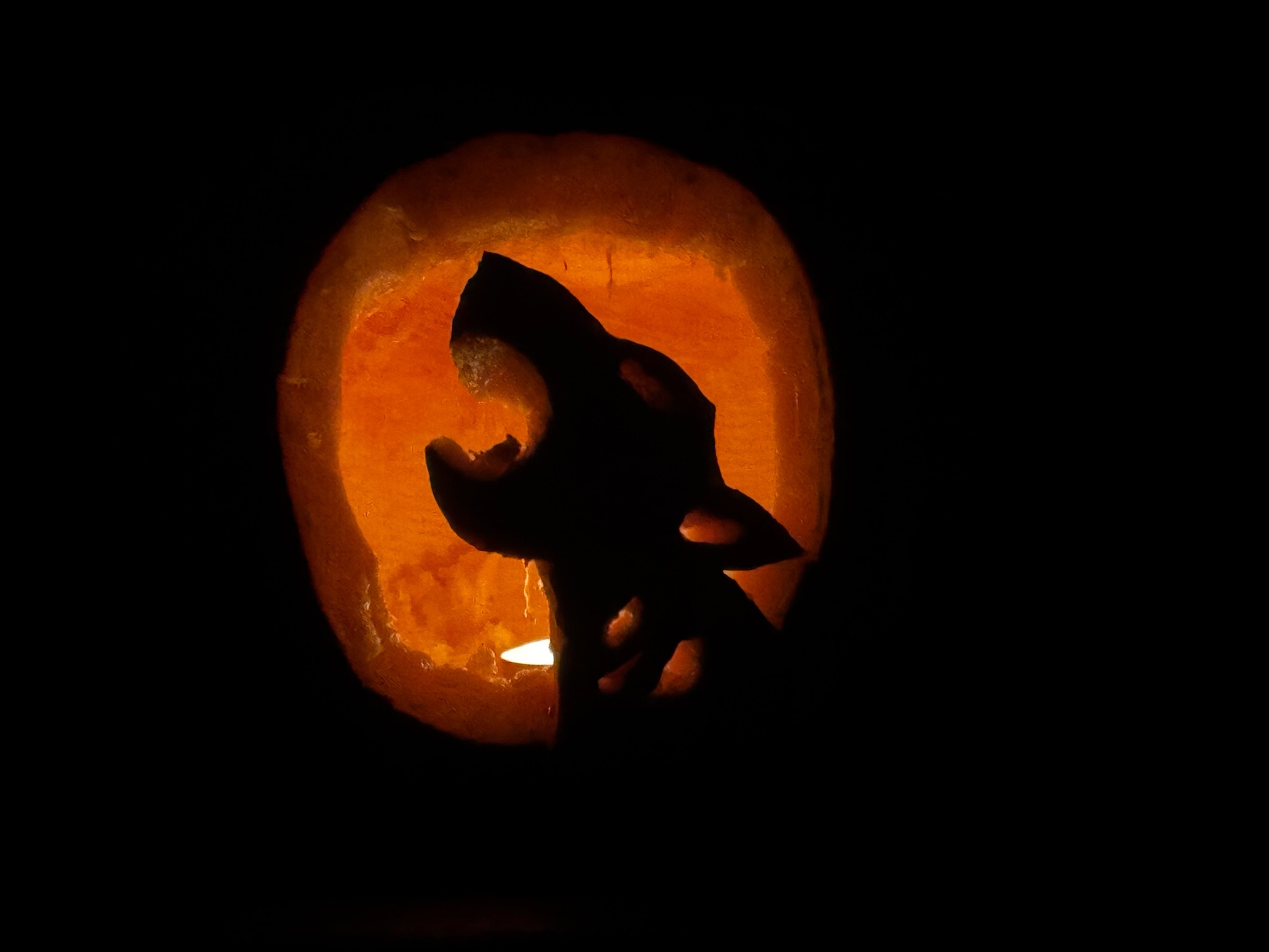 wolf in a pumpkin