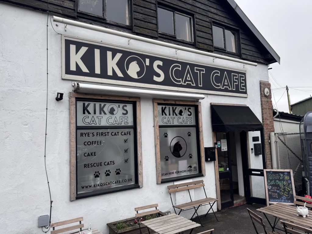 Kiko Cat Cafe in Rye