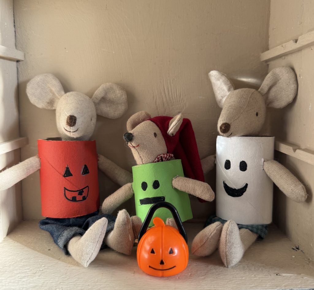 Maileg mice costumes