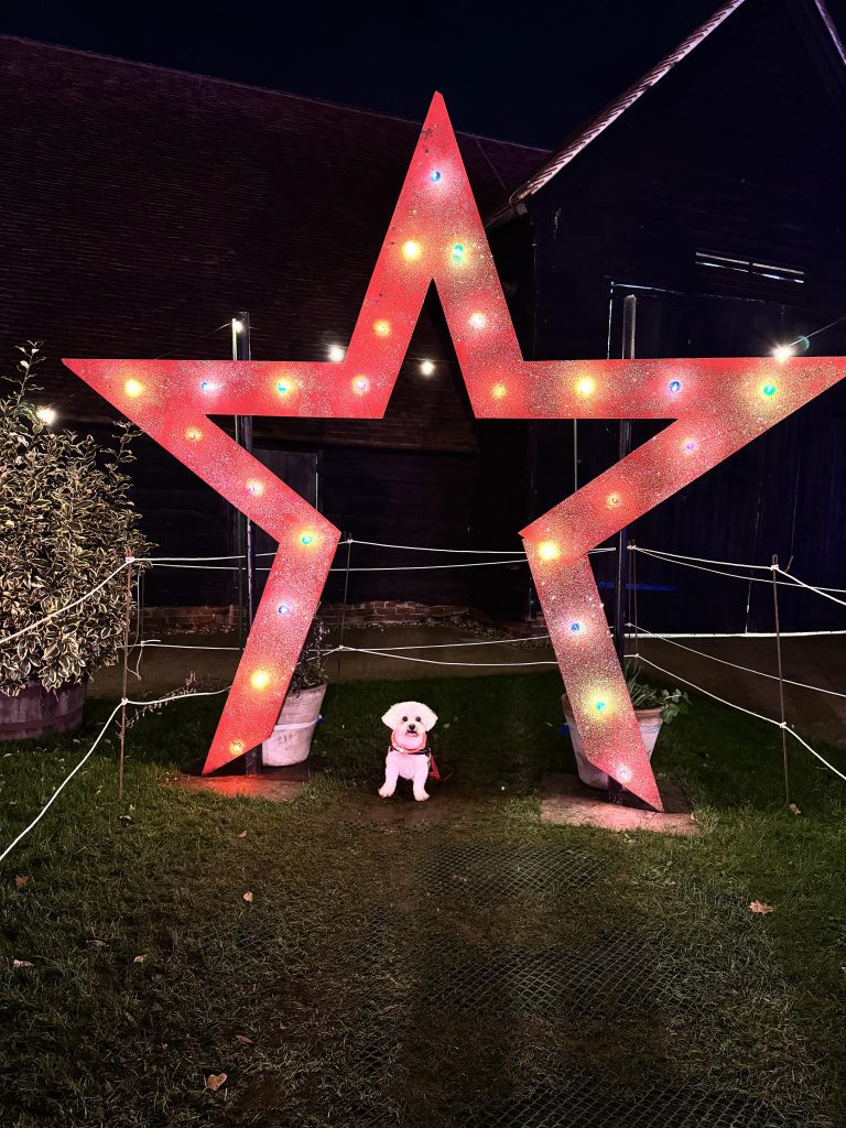 Headstone Manor Museum Christmas Light Trail