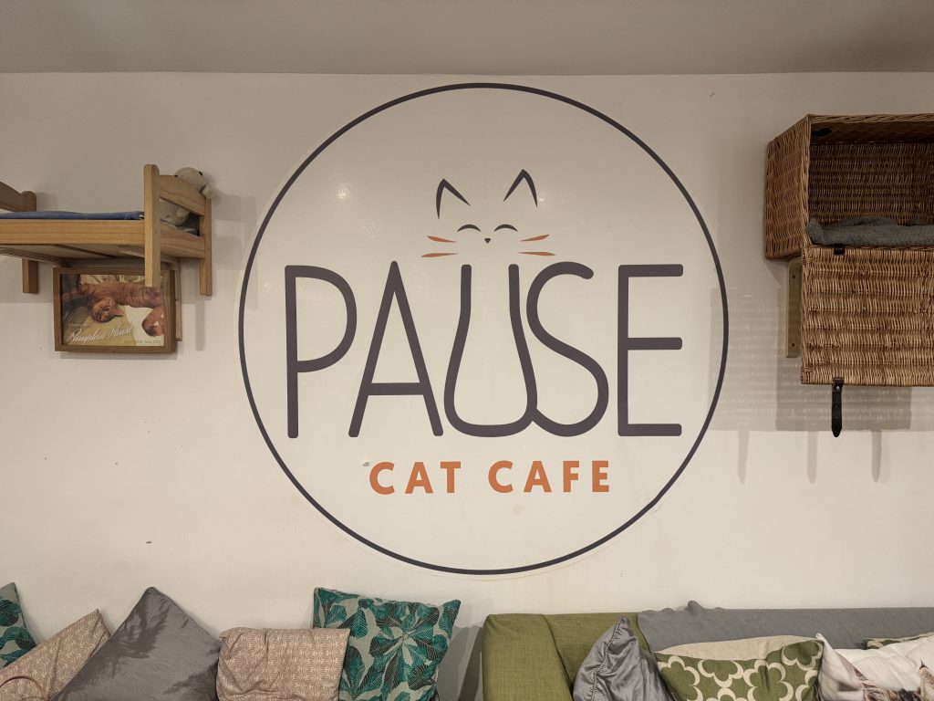 A half-term visit to Pause Cat Café in Bournemouth