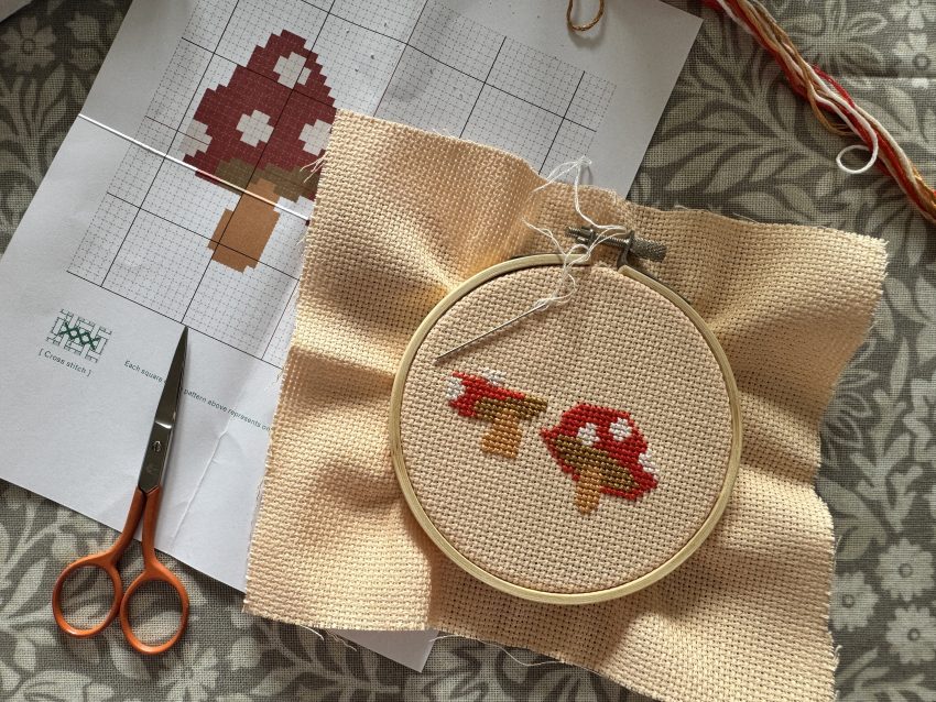 toadstool cross stitch kit