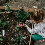 How to Grow Vegetables With Your Kids (Step by Step Guide) kelly-sikkema-iu3MkDoQXDM-unsplash
