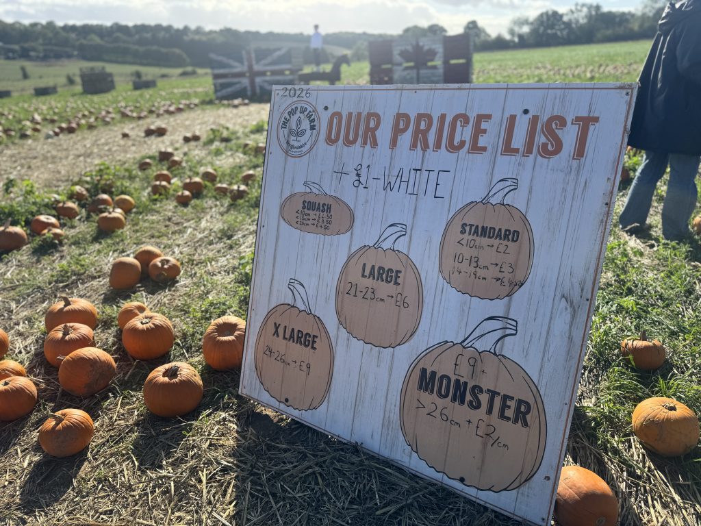 Picking pumpkins at the Pop Up Farm