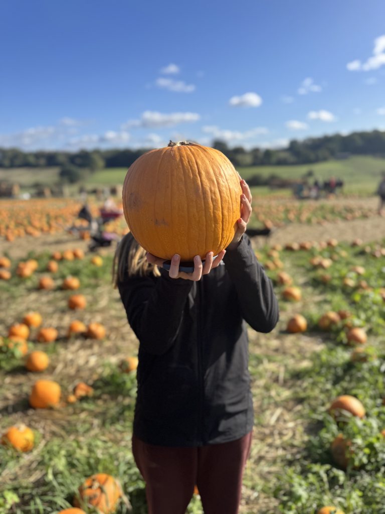 Picking pumpkins at the Pop Up Farm